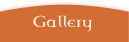 Gallery O